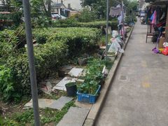 -马浜花园