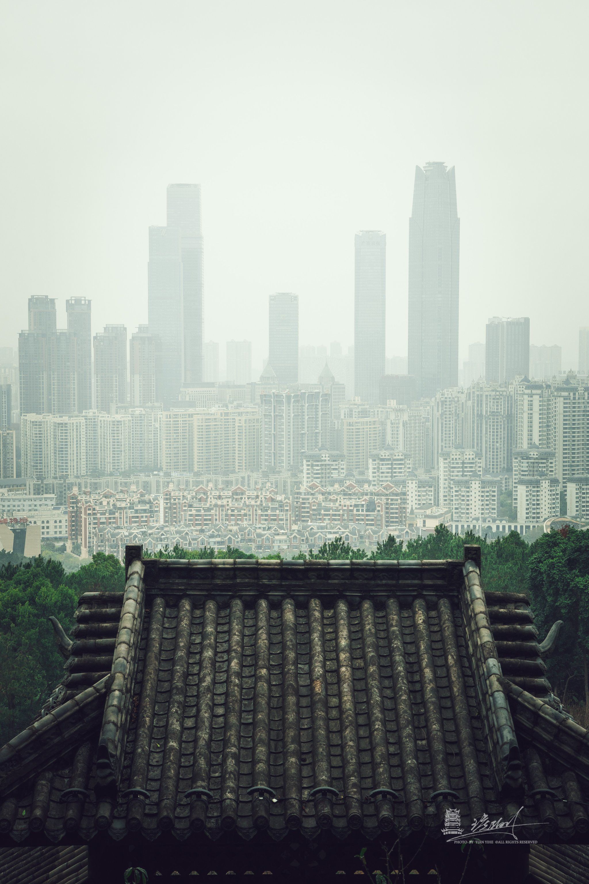 阴雨天的南宁,有种绿野仙踪氛围感🍃