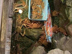 -蟹道乐(網元別館店)