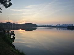 -松山湖南湖湾露营营地