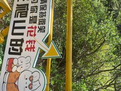 -朱雀国家森林公园
