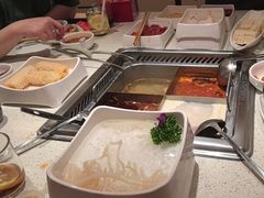 -海底捞火锅(吾悦国际广场店)