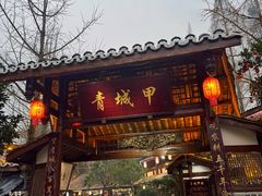 -青城甲(青城山店)