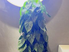 -如轩·海鲜砂锅粥·潮汕菜(沿江东路店)