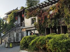 -慢丽江·云南野生菌土鸡锅(付家庄店)