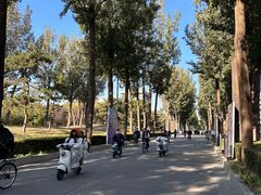 -清华大学-清芬园