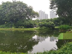 -广州长隆飞鸟乐园
