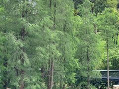 -点都德(广州白云山景区南门店)