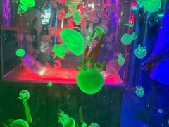 -太奥幻太奇海洋馆