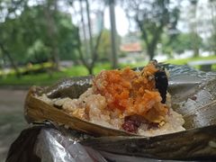 -鼎香皇高佬苏裹蒸粽