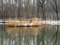 -东郊湿地公园