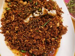 -胖大姐黄辣丁鱼庄(新津店)