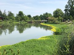 -桤木河湿地公园