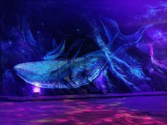 -栾川竹海野生动物园