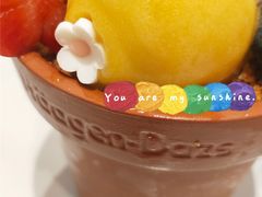 -哈根达斯(SM店)