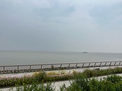 -瀛洲公园