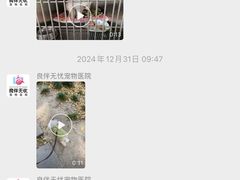 -良伴无忧宠物医院(泰欣嘉园店)