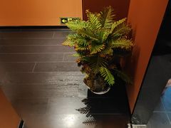 -泰·菩提树下[泰式按摩x精油SPAx肩颈头疗](新景店)
