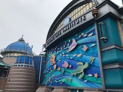 -海底巡游艇:尼莫和好友的海洋世界