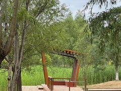 -东郊湿地公园