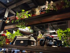 -探鱼·鲜青椒爽麻烤鱼(西南商都店)