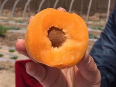 -雅庭海湾国际大酒店-西餐厅