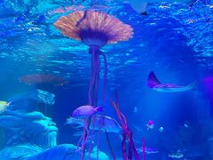 -沈阳海洋探索中心