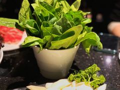 -捞王锅物料理(凯旋路店)