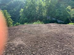-火炉山森林公园