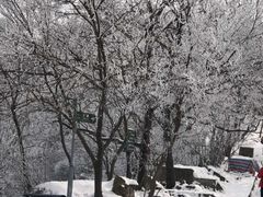 -紫金山天文台
