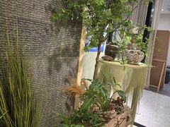 -东方大班·足道·采耳·疗愈SPA(丽都店)