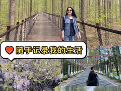 -黄海国家森林公园