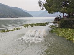-严子陵钓台(富春江小三峡)