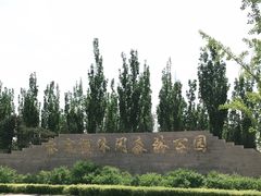 -永定河休闲森林公园