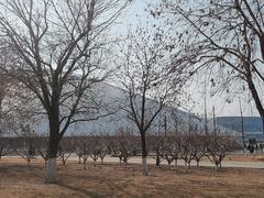 -天津自然博物馆