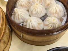 -莱莱小笼·乔艾