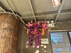 -全聚贤餐厅·湖北家常菜(沙湖店)