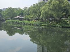 -南长河公园