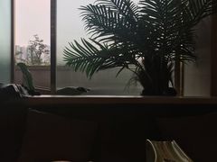 靠窗位-八珍玉食鸡煲·打边炉(印象城店)