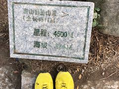 -梧桐山风景名胜区