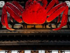 -蟹料理 北海道かに将軍(札幌本店)