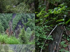 -吉林市朱雀山国家森林公园