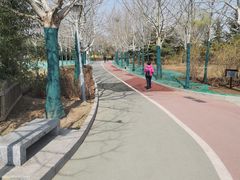 -滨河世纪广场公园