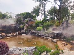 -东莞植物园