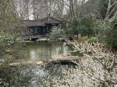 -习家池