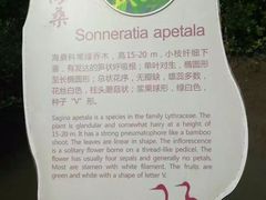 -东寨港红树林旅游区