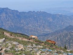 -灵山