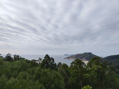 -广东惠东海龟国家级自然保护区