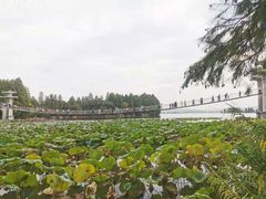 -东湖落雁景区