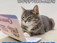 -瑞派雷欧宠物医院·24h夜诊·心脏骨科牙科·全科重症转诊中心(无影山店)